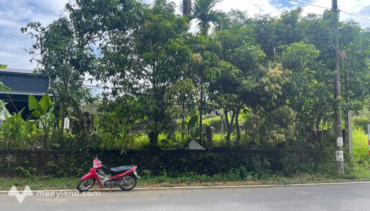Mảnh đất vàng Tân Thịnh - Nơi an cư lạc nghiệp