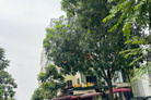 Ngôi nhà 7 tầng mơ ước tại Long Biên, kinh doanh sầm uất, sẵn sàng đón chủ mới