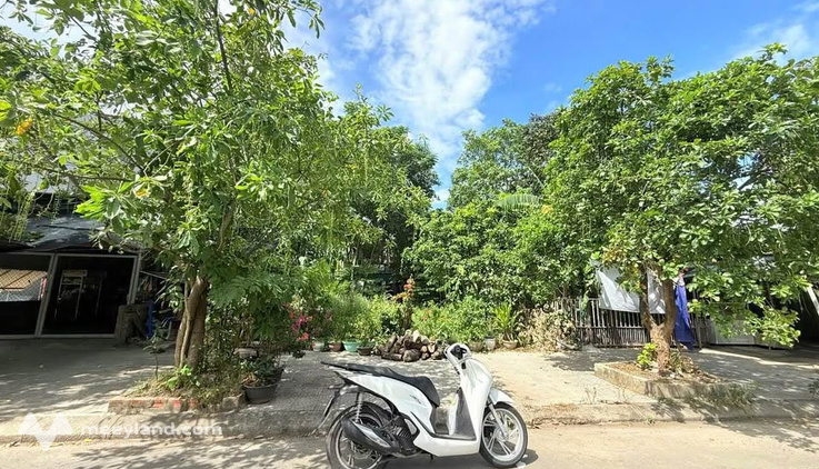 Đất biệt thự Đại Cồ Việt - Ngang 11.4m, sổ hồng, giá hời