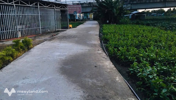 Đất vàng Thạnh Lộc, 128,8m² thổ cư, lộ đan 3m ô tô tới đất