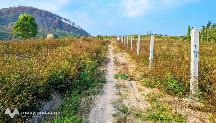 Tổng 7 sào đất mặt nhựa vào thác Pongour, Đức Trọng, Lâm Đồng