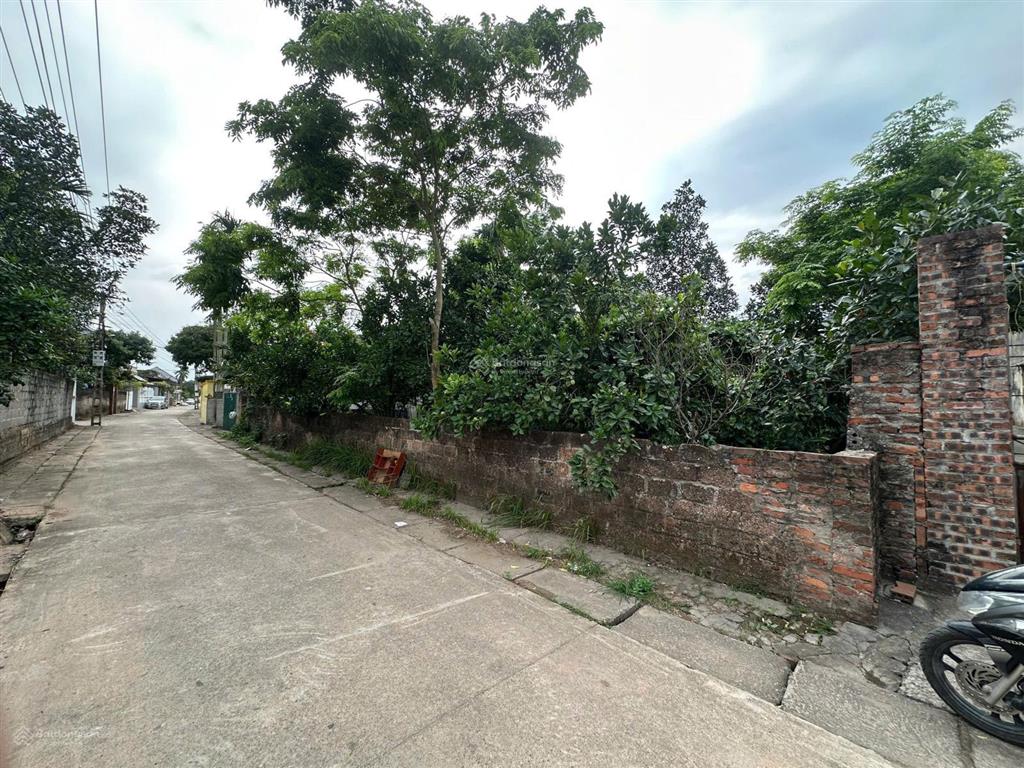 Bán đất thổ cư 161.8m² xã châu ninh, hưng yên giá 4.5 tỷ. 0904 548 ***