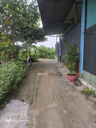 Bán gấp đất lỗ 390 triệu, mặt tiền 5.6m, đường ô tô vi vu tại Tân Mỹ Chánh, Mỹ Tho
