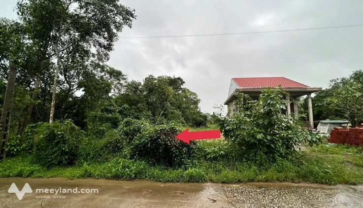 Mảnh đất vàng Vũ Ngọc Phan - Nơi an cư lạc nghiệp tại cố đô