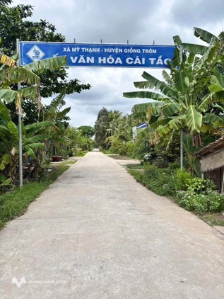 Đất mặt tiền siêu rộng 52m, Vĩnh Long, sổ hồng sẵn sàng, giá hời