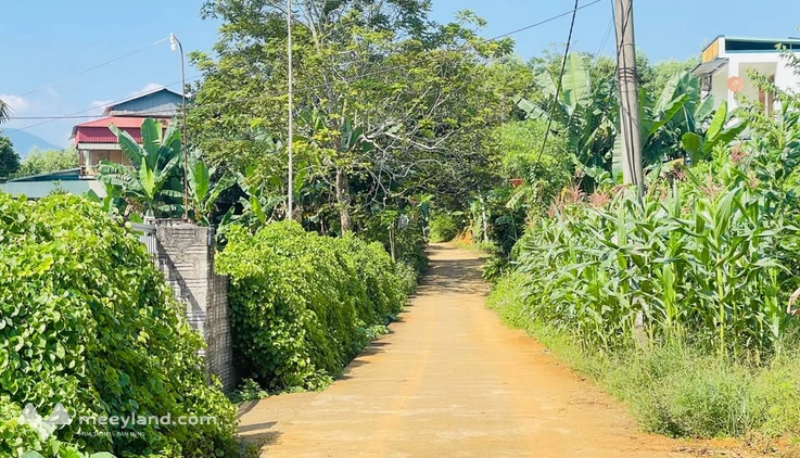 Bán đất diện tích gần 600m2 tại An Tường, Tuyên Quang, thích hợp làm biệt thự nhà vườn hoặc chia lô