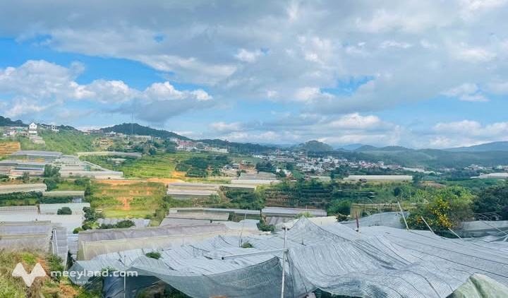Đất vàng Đà Lạt, 1808m2 view triệu đô, ngang 40m, giá hời 9 tỷ