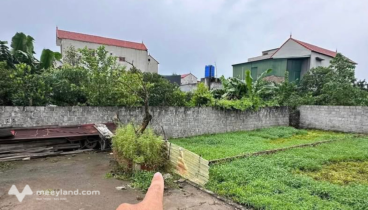 Đất nở hậu Chương Dương, đón lộc vào nhà