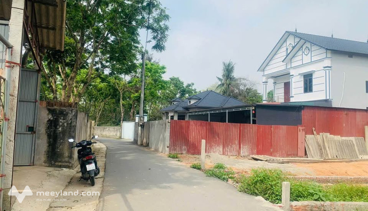 Bán gấp đất vuông vắn 125m2, cách chợ Tam Quan 50m, Vĩnh Tường