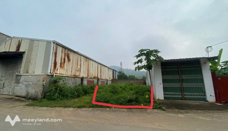 Đất vàng Tam Lộng 100m2, mặt tiền 5m, giá hời 2,3 tỷ