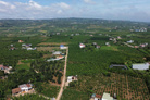 Đất thổ cư 435 triệu gần Đà Lạt - Sổ hồng riêng, vuông vắn