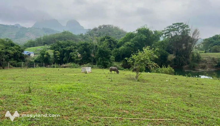 Đất nền 2648m2 bám suối, view đẹp tại Hòa Bình - Cơ hội đầu tư sinh lời