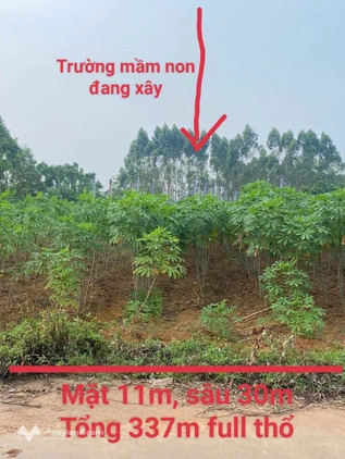 Đất vàng Thanh Đình, Vĩnh Yên, đầu tư sinh lời