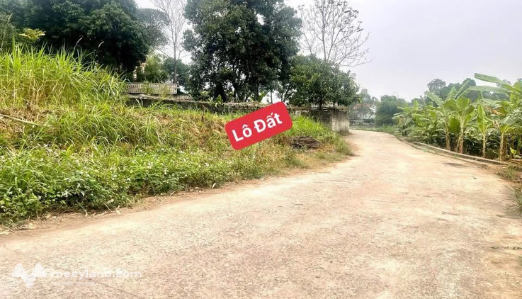 Chính chủ cần bán lô đất full thổ cư tại Tam Dương, Vĩnh Phúc