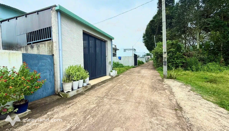Bán đất đẹp tại Long Khánh, Huyện Cẩm Mỹ, Tỉnh Đồng Nai