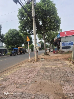 Mặt tiền Hương Lộ 2, kinh doanh sầm uất, giá hời cho nhà đầu tư