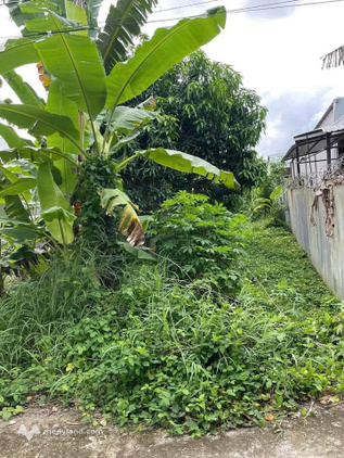 Siêu phẩm đất Cần Thơ, diện tích khủng 2100m2, sở hữu view sông thơ mộng, nằm ngay kế bên Chợ Cái Chanh sầm uất