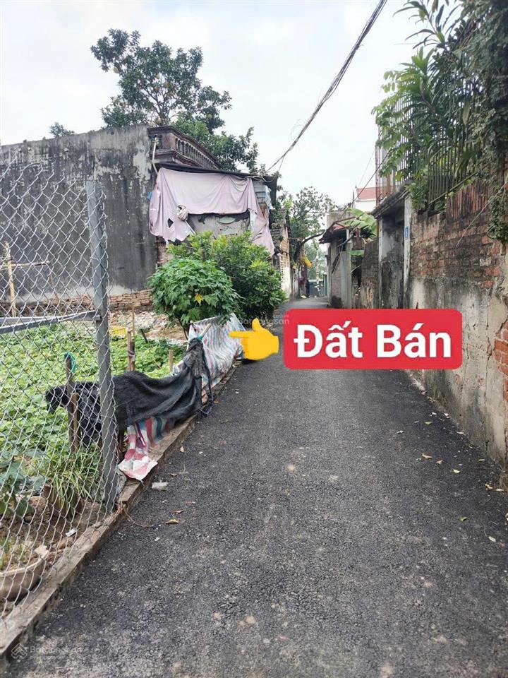 Bán đất phụng thượng phúc thọ hà nội 40,5m²