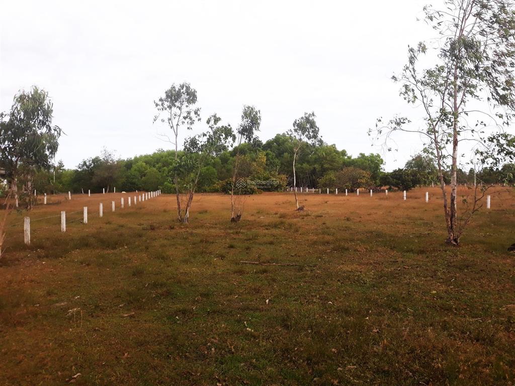 Bán 2409m2 đất gần biển ngang 20m dài 120m đường nhánh lê minh công