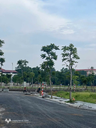 Bán gấp lô đất 90m² Khu đô thị Nam Việt, Việt Trì - Chỉ 3.9 tỷ