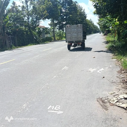 Cơ hội sở hữu ngay 10.000m2 đất mặt tiền đường nhựa Trương Vĩnh Trọng, Hưng Nhượng, Giồng Trôm, Bến Tre