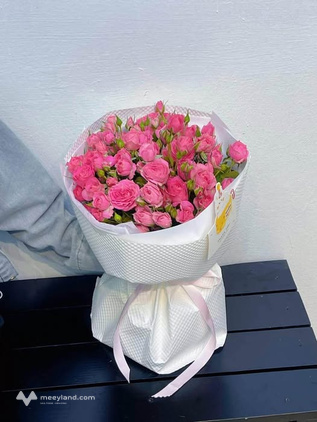 Đất nở hậu 5m x 20m, hẻm 268 Nguyễn Công Trứ chốt ngay kẻo lỡ