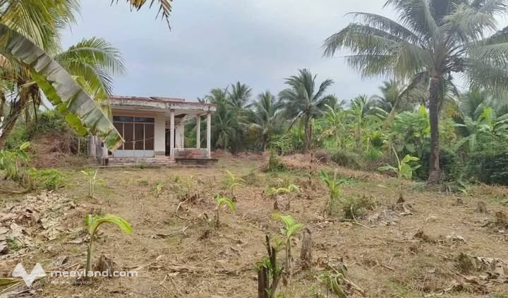 Bạn đang tìm kiếm một chốn an cư lý tưởng hay một cơ hội đầu tư sinh lời tại Bến Tre