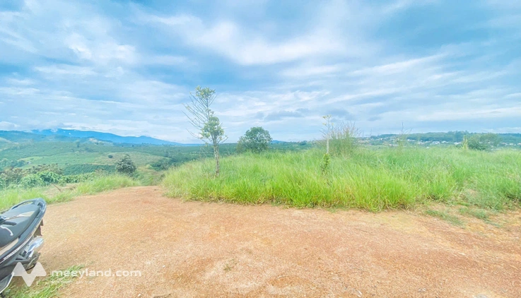 Tổng 1,4 hécta, đất đẹp, view chill chill, nằm ngay ngã 3 hẻm thuộc Hiệp Thuận, Ninh Gia