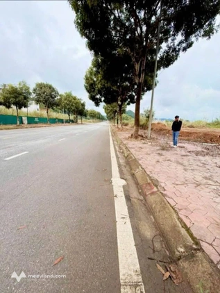 Đất đấu giá Võ Nguyên Giáp, Lào Cai 100m2 hướng Tây Nam, giá yêu thương