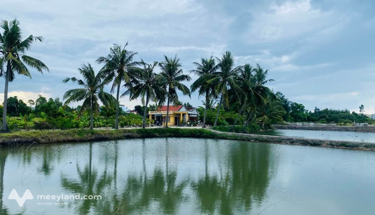 Bán đất 5000m² view sông, ao cá, đồng lúa - Quảng Nam, gần Đà Nẵng