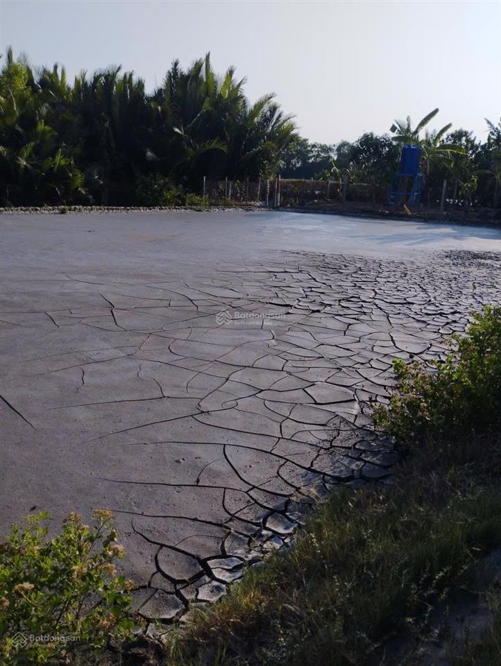 Đất 1000 m² đường ô tô vào tận nơi an thới đông