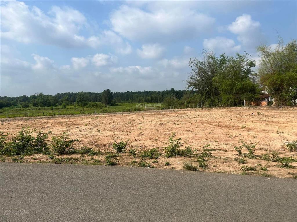 Bán đất thổ cư mặt tiền đường nhựa cây trôm mỹ khánh, 1055 m2, chính chủ. công chứng ngay