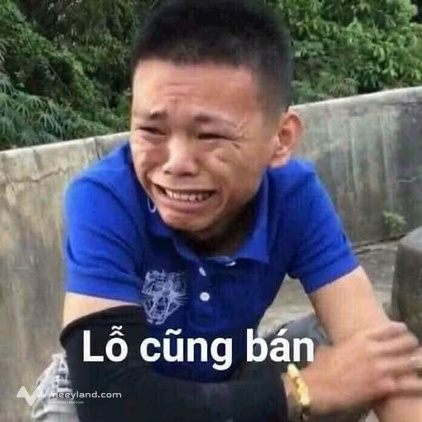 Chốt nhanh lô đất vàng 4 ha, Sông Lũy, Bắc Bình, chỉ 1,5 tỷ