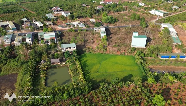 Mảnh đất vàng Trường Sơn, nở hậu tài lộc, view đồng lúa bình yên