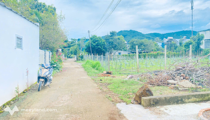 Gần 1,2 sào đất đẹp, hẻm quốc lộ 20, Đức Trọng, Lâm Đồng, gần bệnh viện Tam Bao