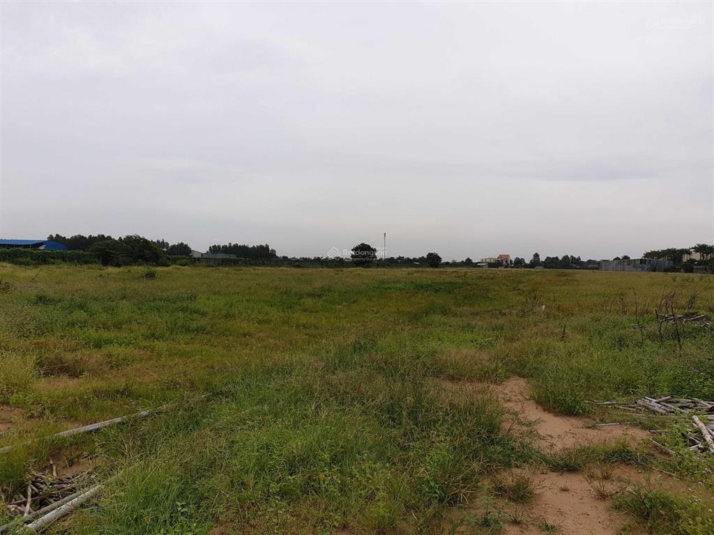 Bán đất khu công nghiệp thủ thừa long an 10.000m2