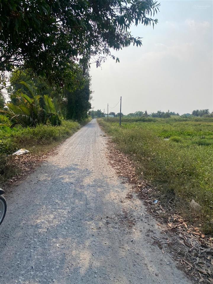 Hàng hiếm bình mỹ 1.568m2 cln mặt tiền đường 171, mặt rạch cực đẹp