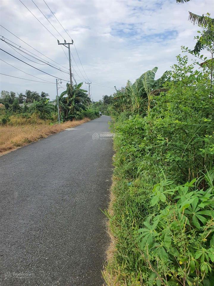 [chính chủ] bán cặp nền siêu đẹp mặt tiền ô tô 6m trên trục đường đẹp nhất nguyễn viết xuân
