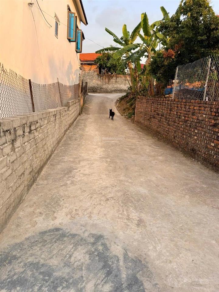 Một lô đất cực hiếm đầu tư là có lãi.ở văn phong châu cầu (phù lãng) quế võ tỉnh bắc ninh