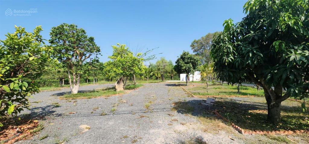 Lô farm nghỉ dưỡng hồ tràmgóc 2mt dt 1835m2 250m2 thổ cư sh sẵn cách biển 3km