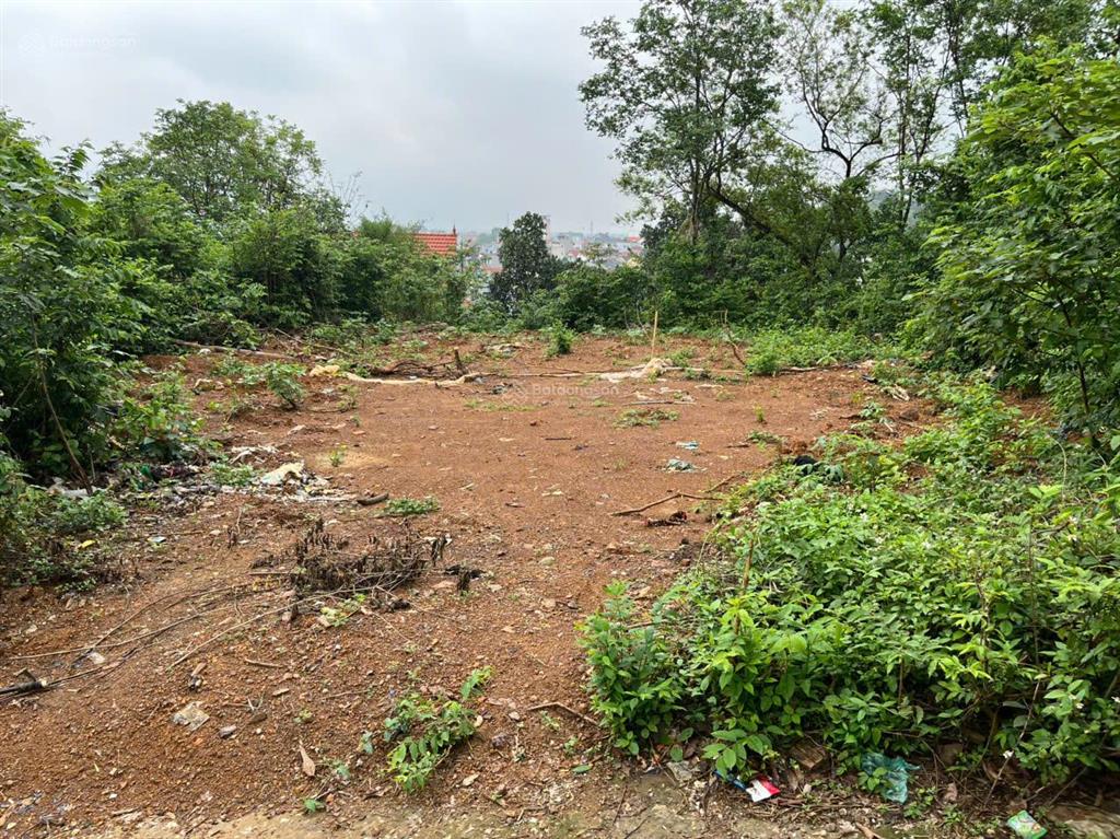 Bán đất tại thôn chợ, xã cẩm bình, 17,5 triệu / m2, 342,8 m2, pháp lý đầy đủ, chính chủ