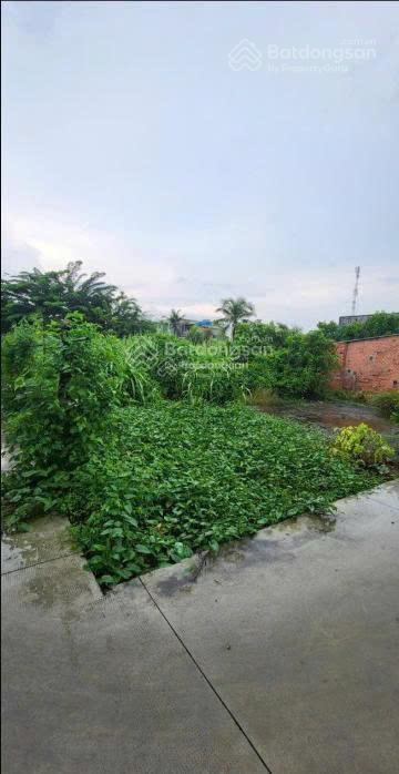 Bán đất 600m2 full thổ cư ngang 32m xã tân quý tây