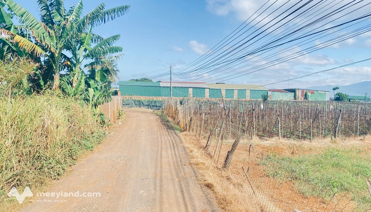1400m2 mặt tiền đường Hàn Thuyên, view nhìn hồ Nam Sơn, Đức Trọng, Lâm Đồng