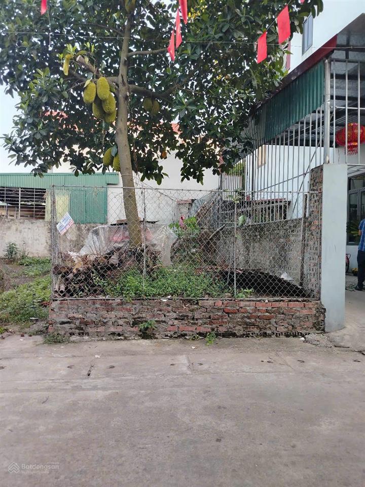 Bán đất đồng tháp đan phượng hà nội 49,6m2 gần trục tây thăng long