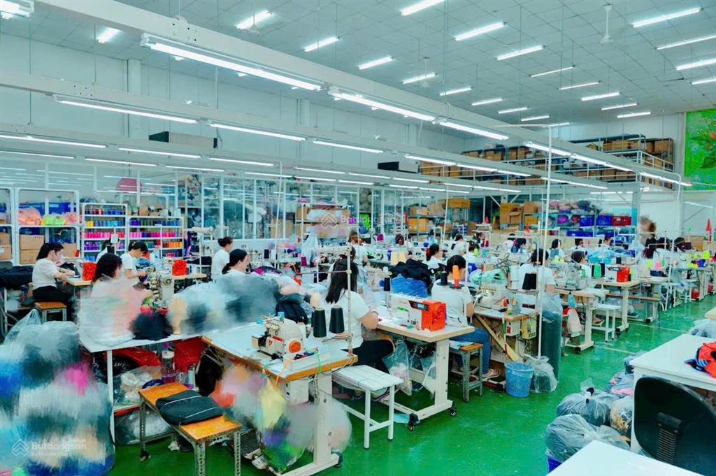 Cần chuyển nhượng nhà xưởng 900m² pháp lý chuẩn hoàn công.
