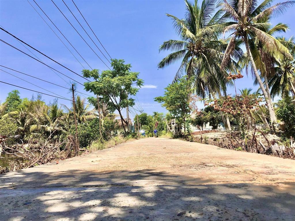 Bán đất view dừa xanh mát làng cẩm thanh hội an diện tích 155m2 giá hợp lý (ms562)