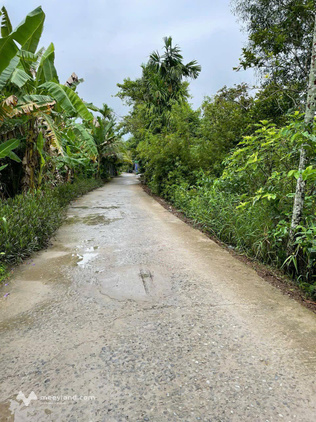Đất đẹp giá mềm mặt tiền trên 32m - Nhơn Lộc 2A, Phong Điền, Cần Thơ, cách chợ Cả Lang chỉ 1km
