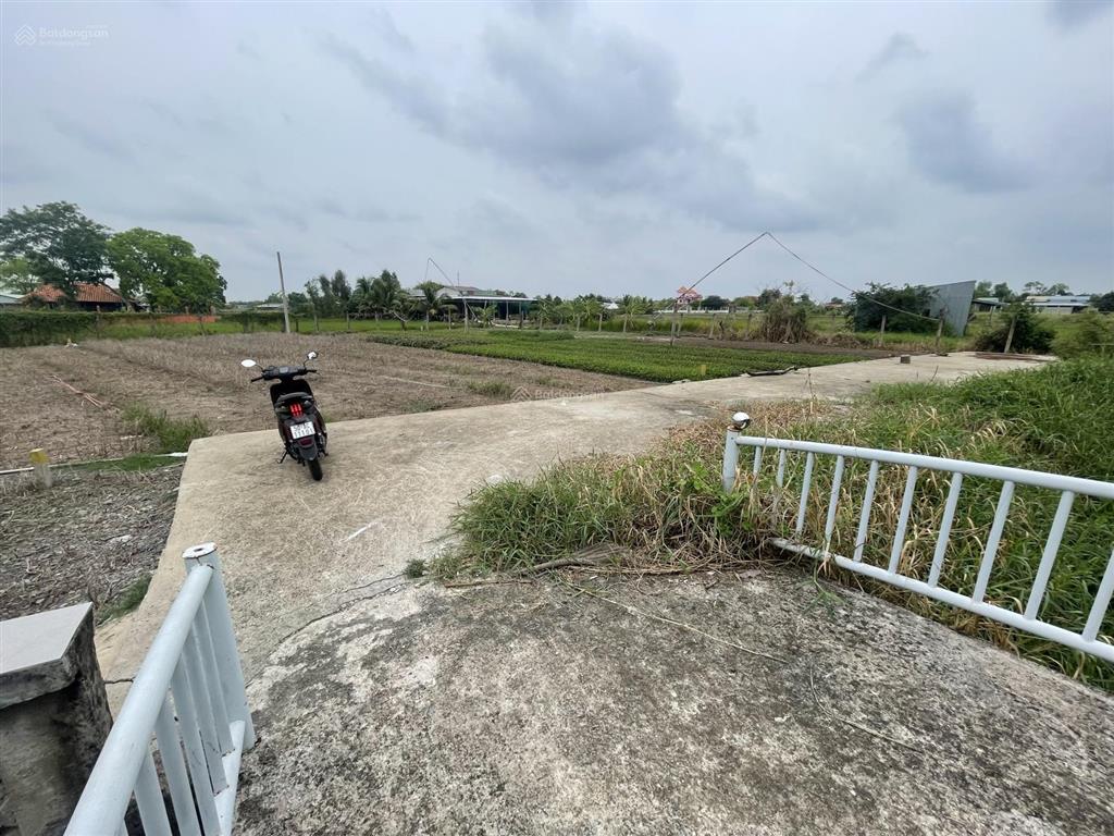 Nền đất ở view sông thoáng mát 5x42m=204m2 đường đặng văn búp, phước lý, tây ninh (long an cũ)