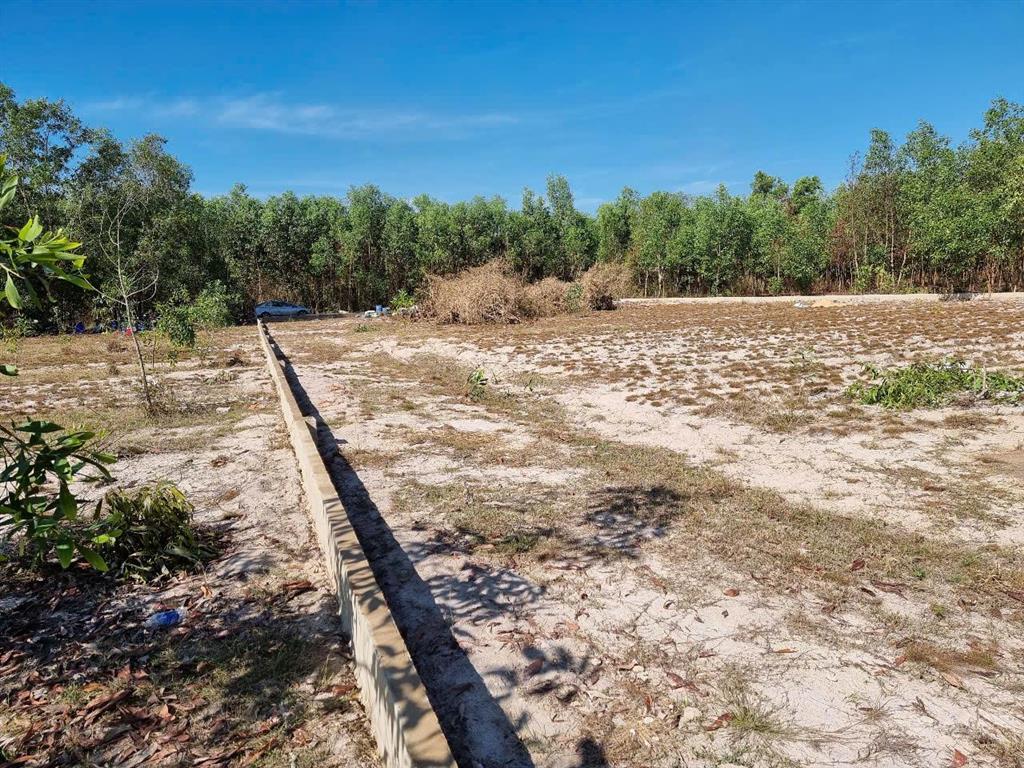 Bán đất vườn 2.503m2 xã vĩnh thanh, nhơn trạch, đồng nai sổ riêng