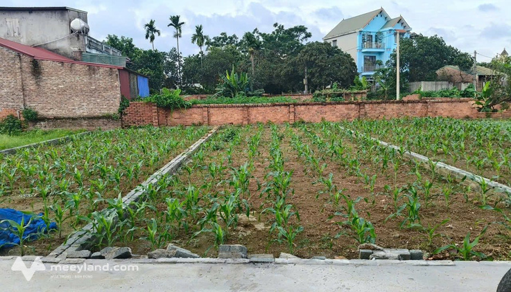 Chính chủ nhờ bán lô đất 100m² full thổ cư – Giá đầu tư